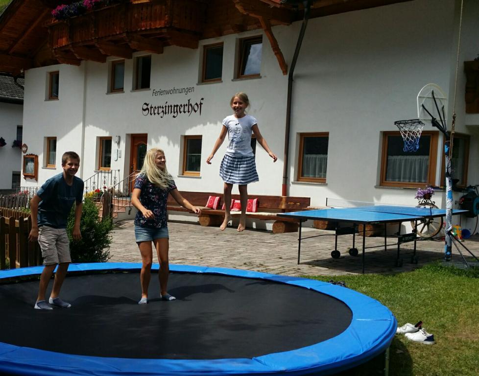 Sterzingerhof Apartment Neustift im Stubaital Bagian luar foto